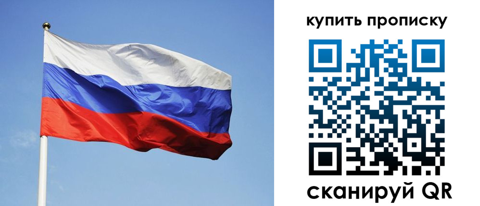 временная регистрация гарантия в Курской области